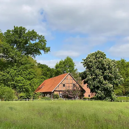 Ferienhaeuser Weitblick Gilten Exterior foto