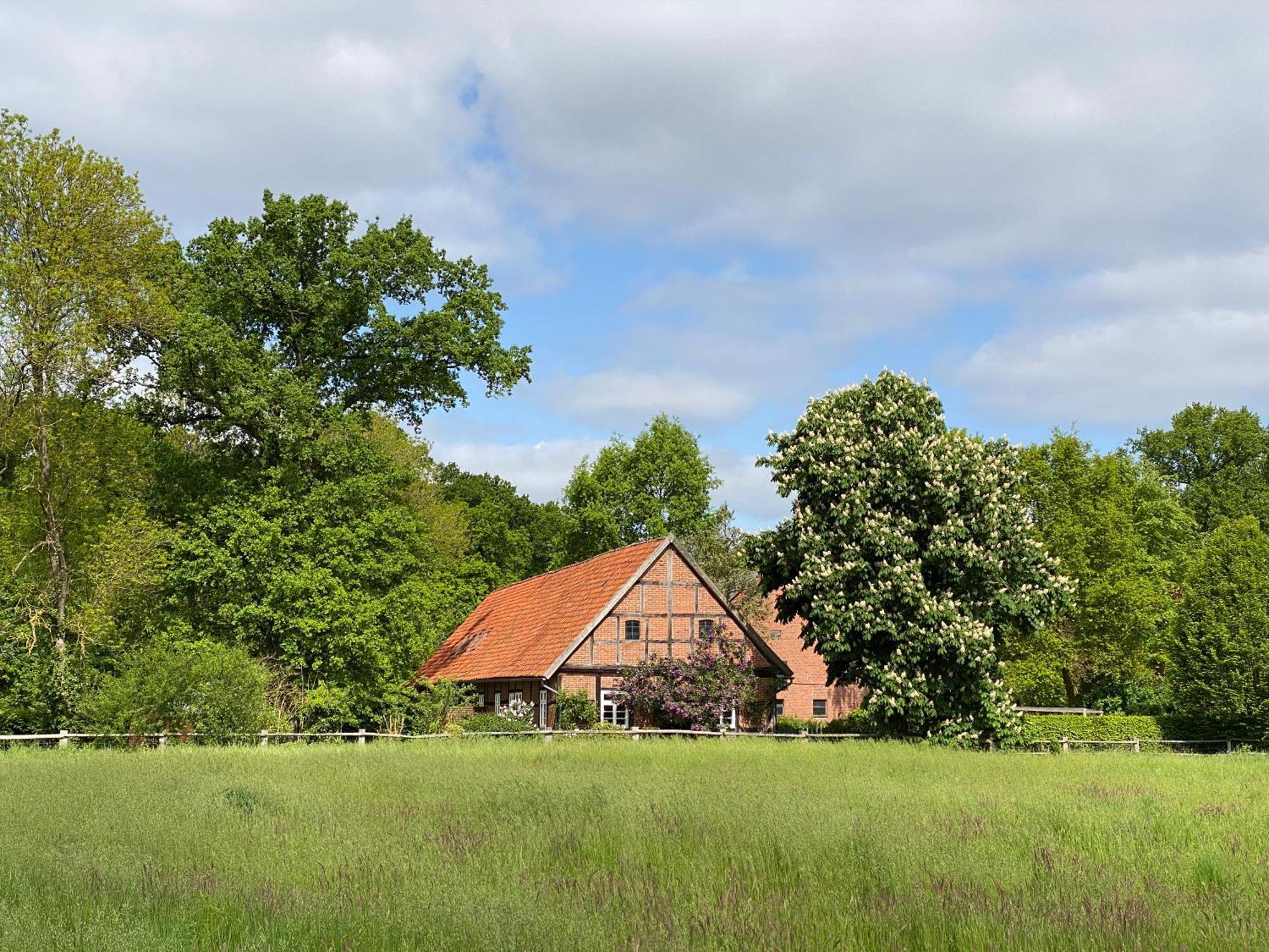 Ferienhaeuser Weitblick Hébergement de vacances *