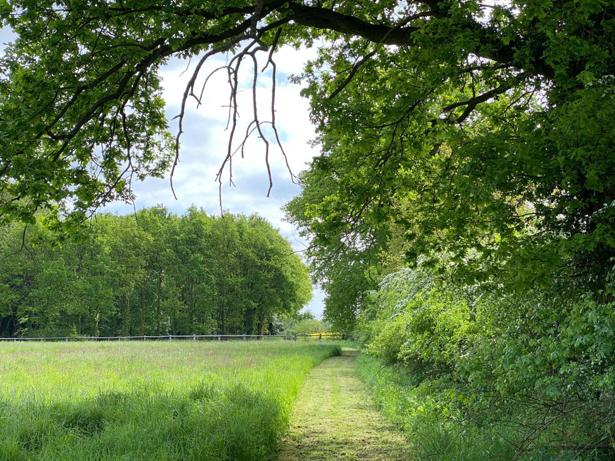 Ferienhaeuser Weitblick *